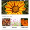 Bing من ميكروسوفت يتيح للمستخدمين البحث باستخدام كاميرا الهاتف الخاصه بهم